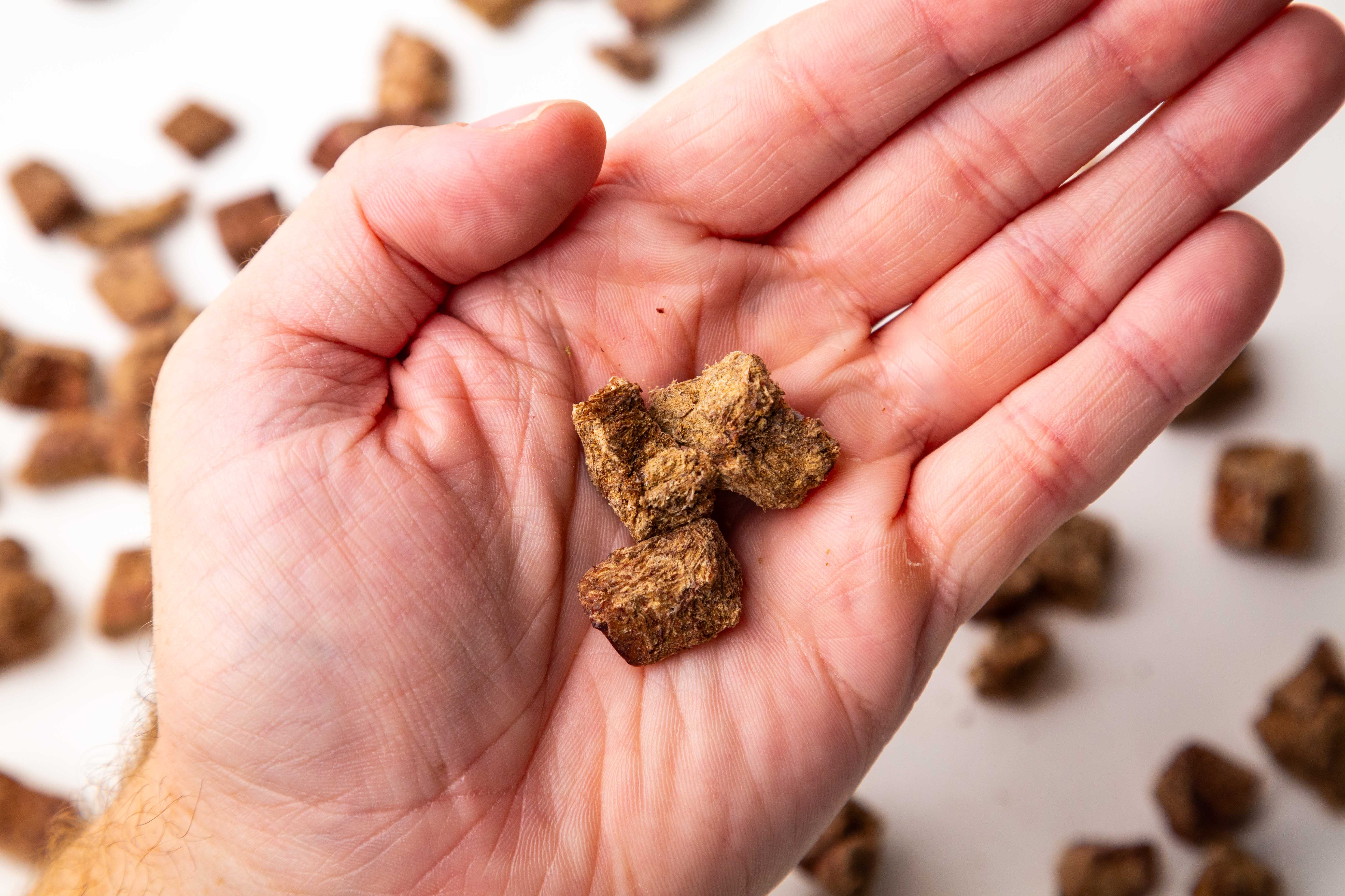 Simplified Freeze Dried - Wholesale Pet Treats - Dog - Iowa's Own All Natural Pet Treat Raw Freeze Dried Beef Liver11