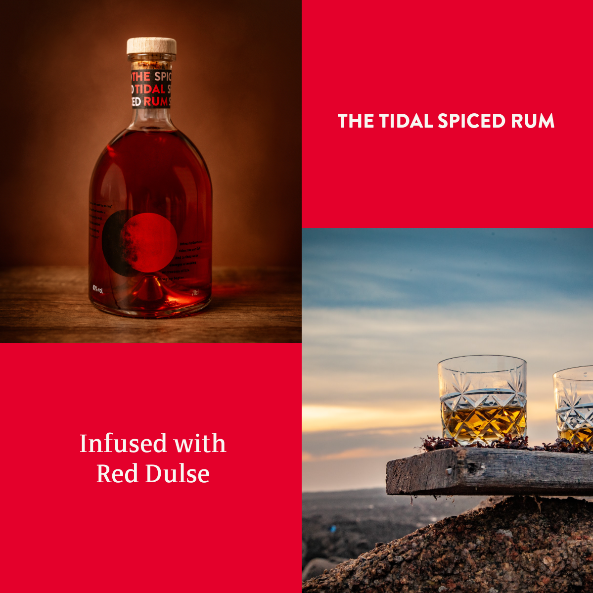 The Tidal Rum - Venta al por mayor Ron - The Tidal Spiced Rum infusion con Alga Roja Dulse de Jersey1