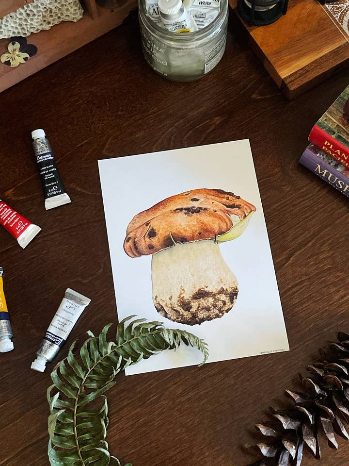 Bolete Print, Spring King Bolete, Mushroom Art , Watercolor for wholesale by Sword Fern Studios