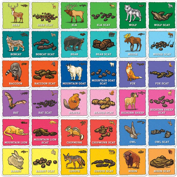 Masterpieces Puzzles - Wholesale Card Game - Jr. Ranger - Animal Poop Matching Game1