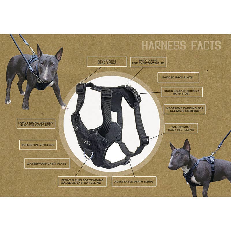 Miro & Makauri – wholesale Pet harness – Dog – Dog Training Harness - the Miro & Makauri 'Adventurer' Harness1