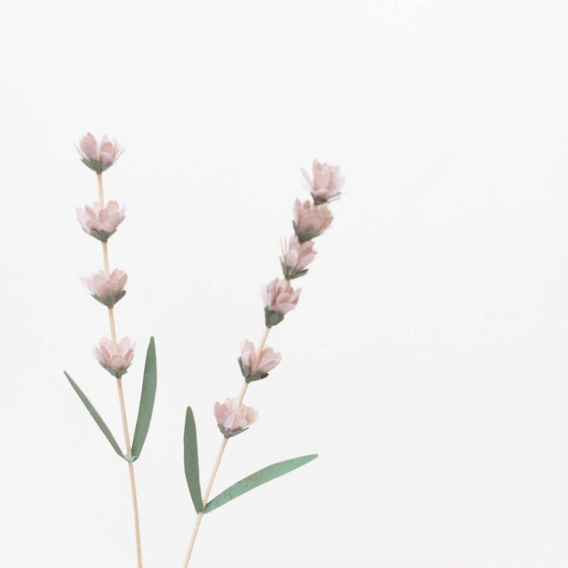 MILLIMÉTRÉE - Wholesale Artificial Flowers - Flower Bar The Flowers6