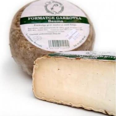 Bauma Formatge Garrotxa Cheese, 2 lb. for wholesale by Little Cheese Shop