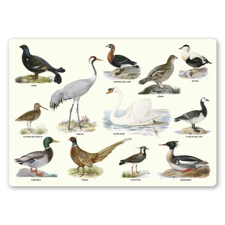 Gullers Trading AB - Wholesale Placemat - Placemat Birds1