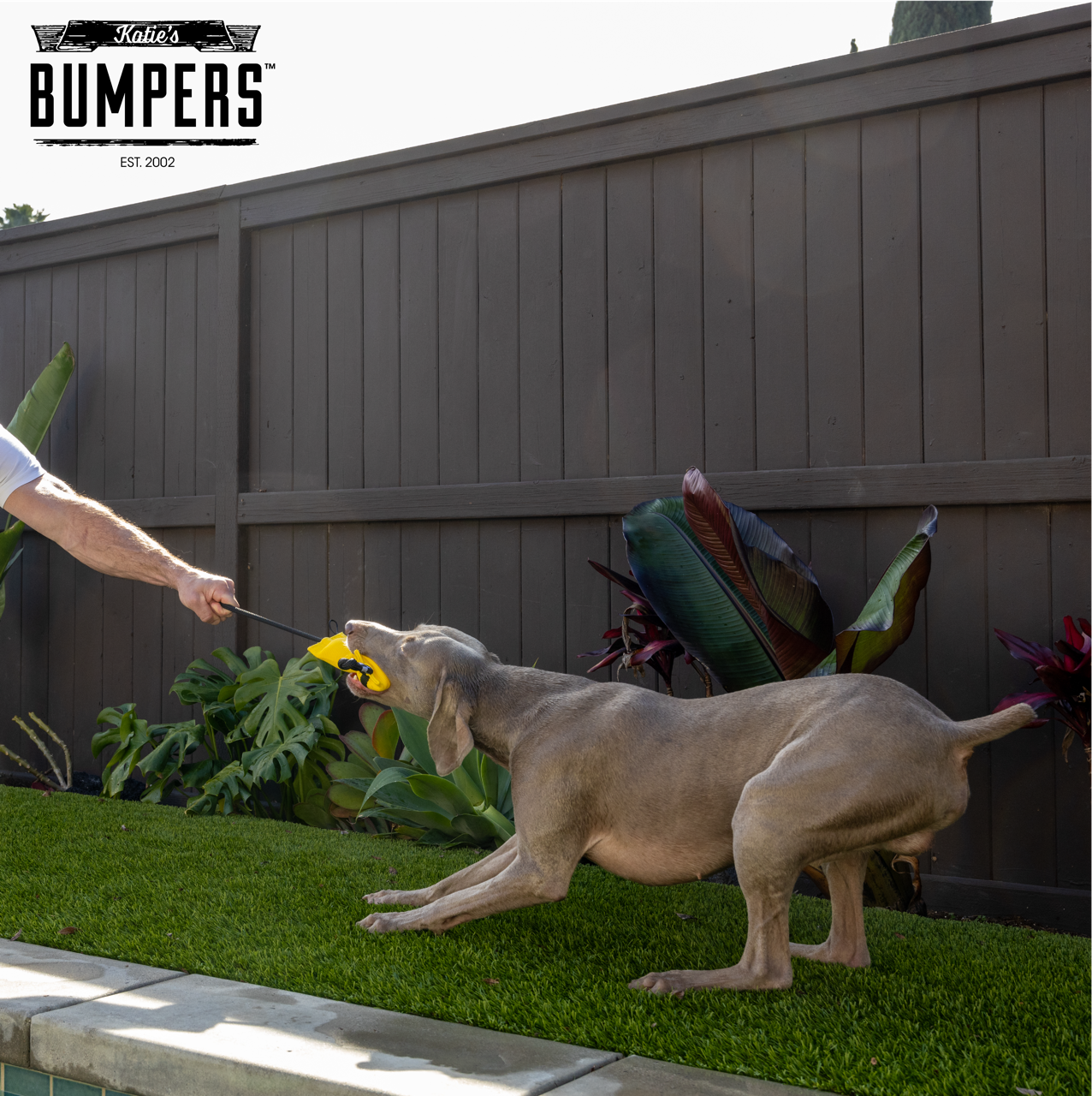 Katie's Bumpers - Wholesale Pet Rope Toy - Dog - NEW!! KB Double Tug Rope3