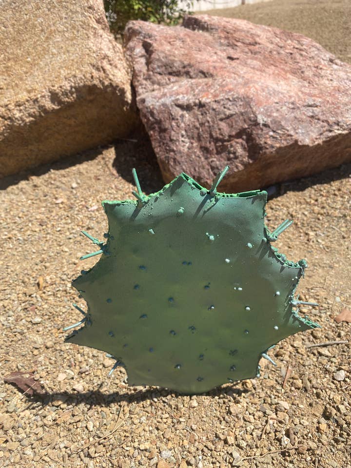 Gray Ghost Cactus for wholesale by US Metal Plants