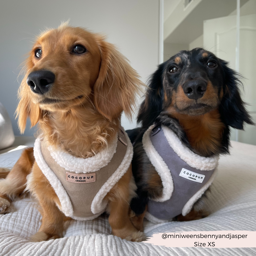 Cocopup London - Wholesale Pet Harness - Dog - Nude Aviator Adjustable Neck Harness10