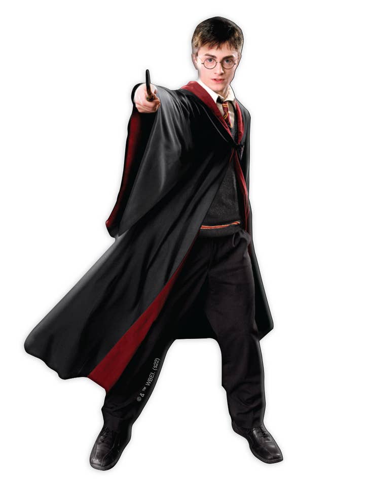 Harry Potter Fridge Magnet - Harry - 5th Year for wholesale by Paper House Productions