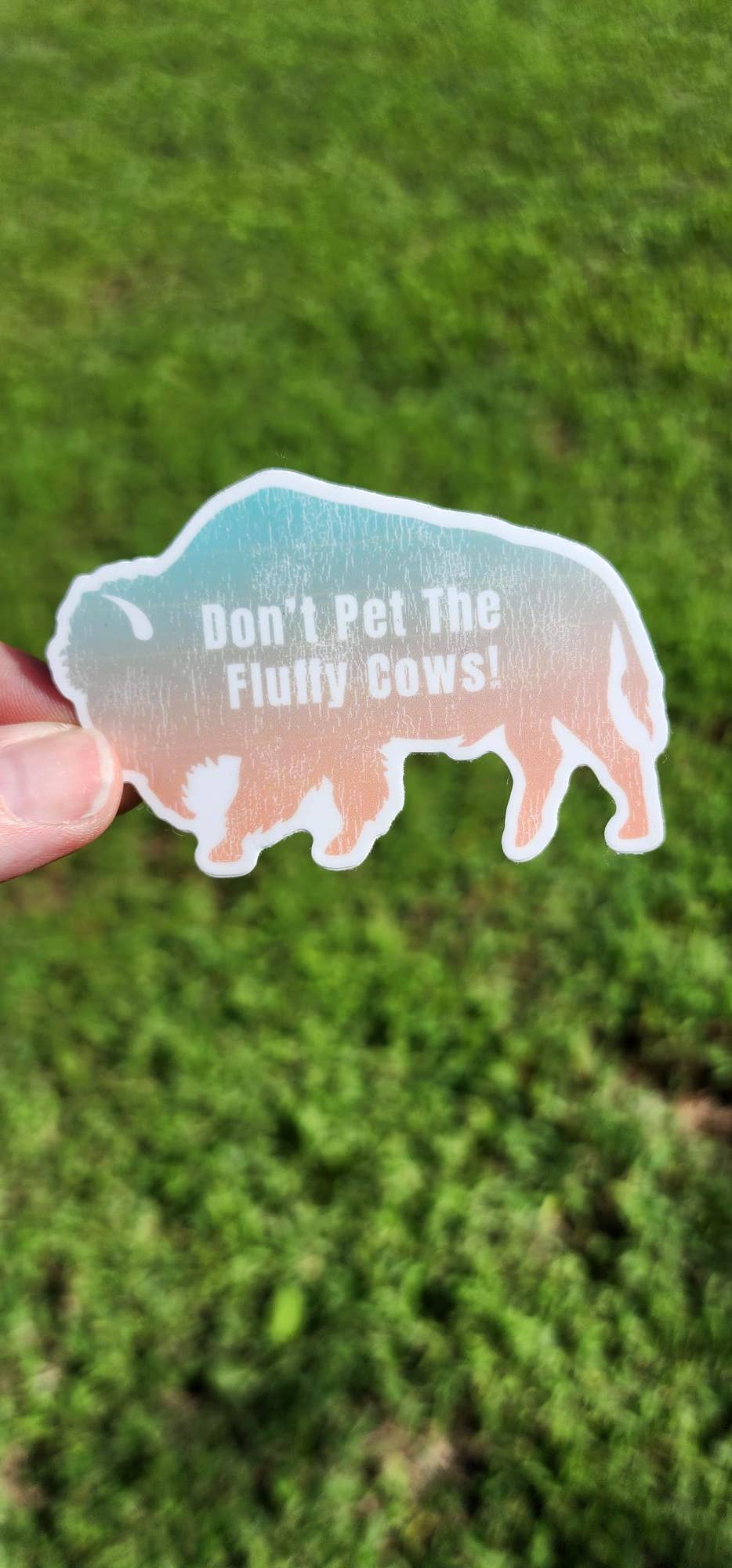 National Parks and Beyond - Wholesale Sticker - Don't Pet The Fluffy Cows Bison Ombre Vinyl Sticker1