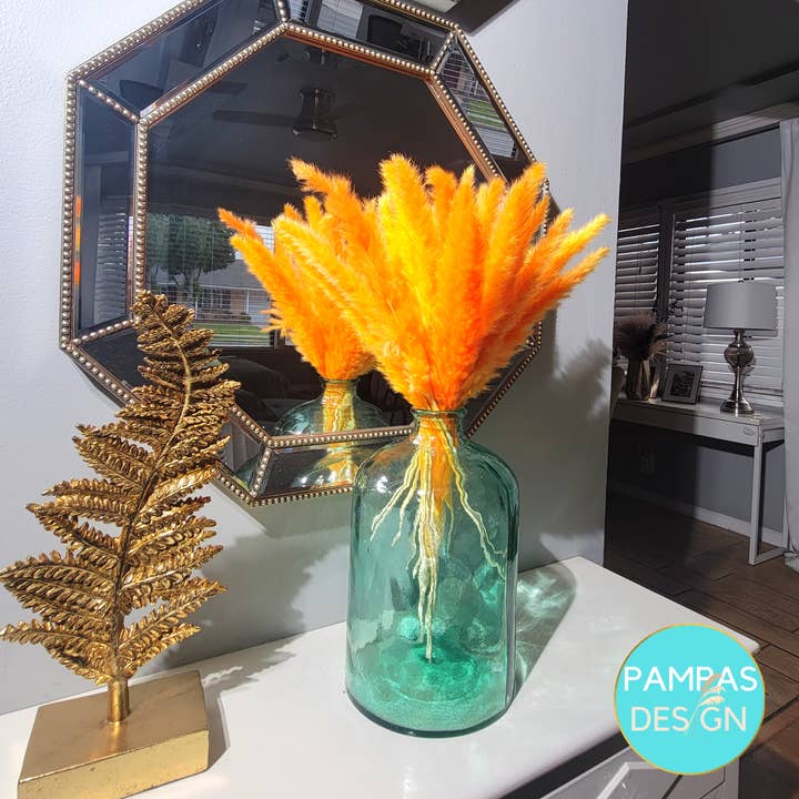 Pampas Design – wholesale Torkade/pressade blommor – Pampas Grass Orange 30 Stammar
