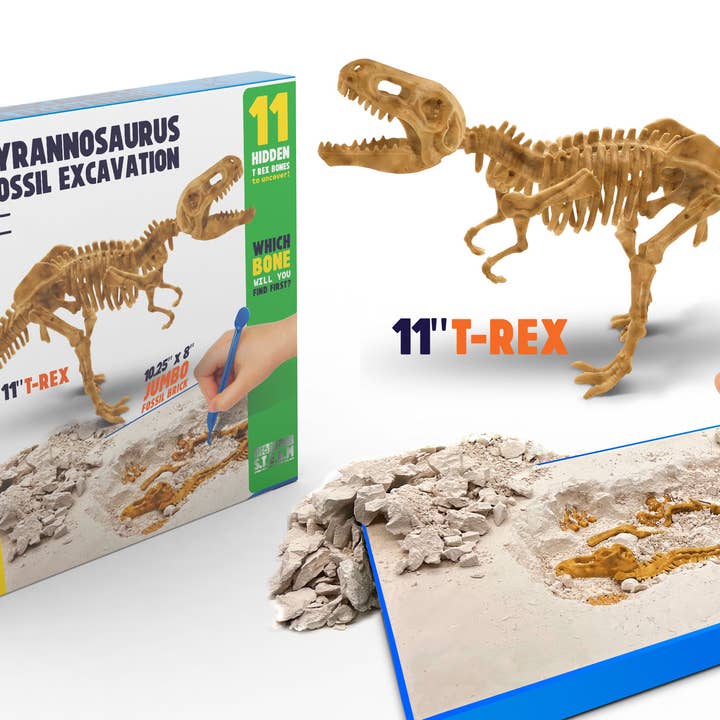 Anker Play Products - Wholesale DIY Craft Kit - Kids - T-Rex Fossil Excavation Mega Dig Kit