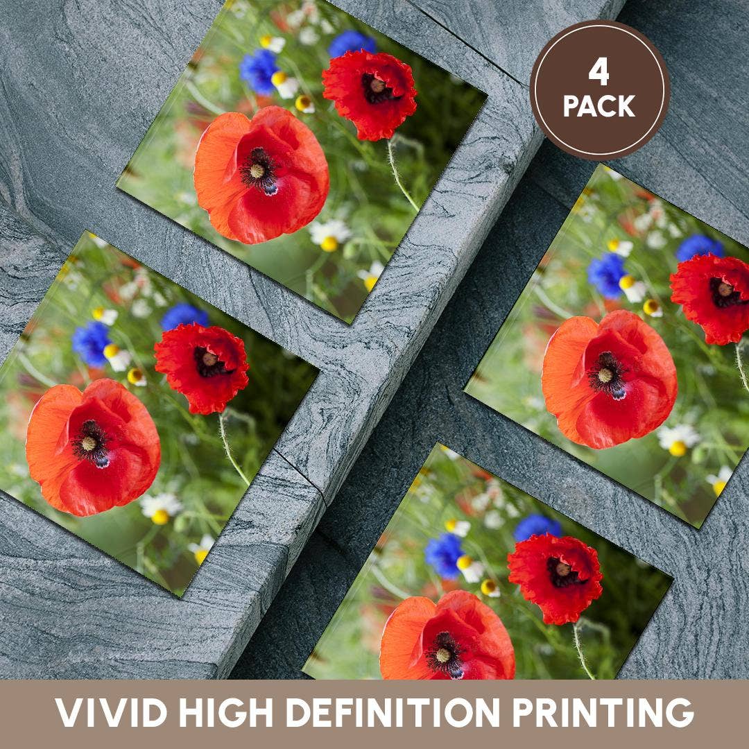 3dRose - Wholesale Coasters - 3dRose, Image of Poppy Flower Close Up, Coaster5