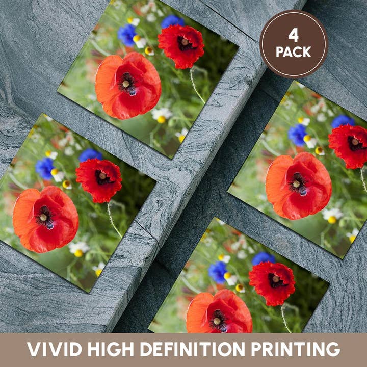 3dRose - Wholesale Coasters - 3dRose, Image of Poppy Flower Close Up, Coaster5