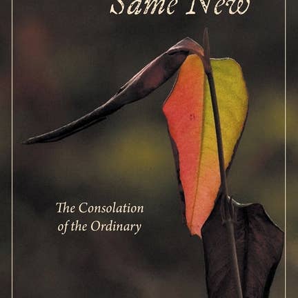 Books by splitShops - Wholesale Religion - Same Old, Same New: The Consolation of the Ordinary - Paperback