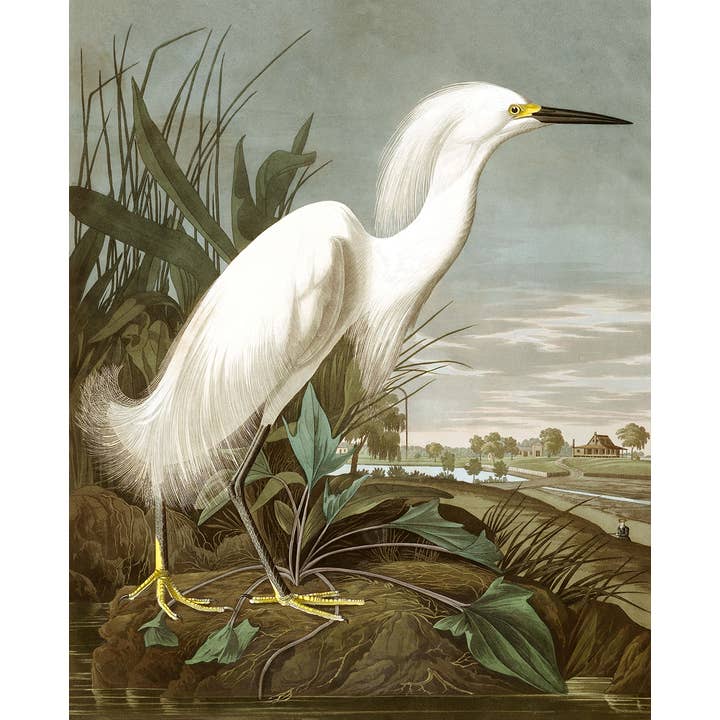 Snowy Heron -Wall Art for wholesale by SPLASHWORKS