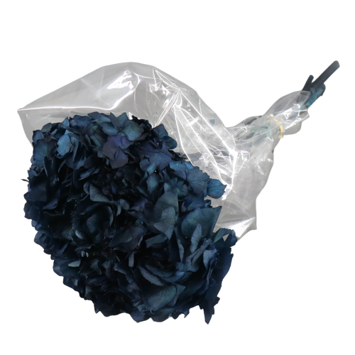 Concari.flores Preservadas - Wholesale Artificial Flowers - PRESERVED HYDRANGEA FLOWER10