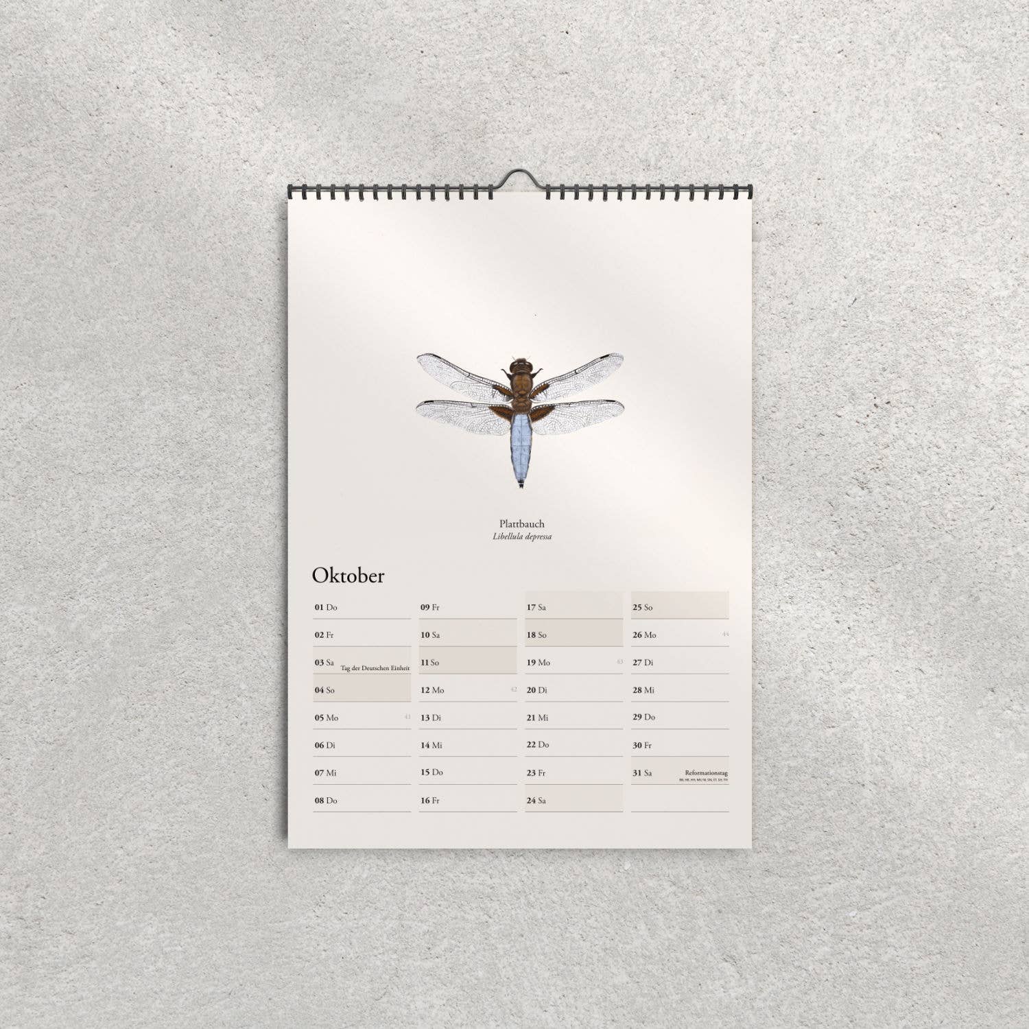 Terillu - Wholesale Calendar - Wall calendar 2026, calendar native dragonflies in A3 format7