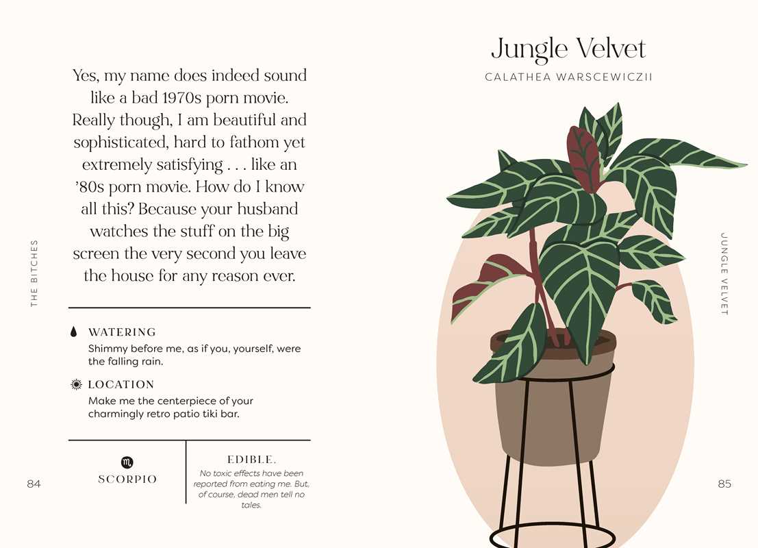 Simon & Schuster - Wholesale Humor - Houseplants and Their Fucked-Up Thoughts by Carlyle Christoff9