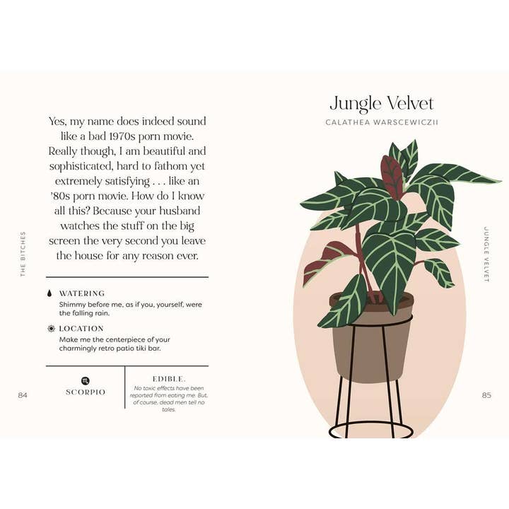 Simon & Schuster - Wholesale Humor - Houseplants and Their Fucked-Up Thoughts by Carlyle Christoff9