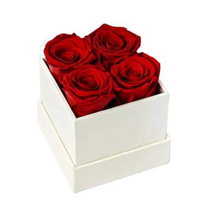 300 Pack Floral Water Tubes/Vials for Flower Arrangements, Rose