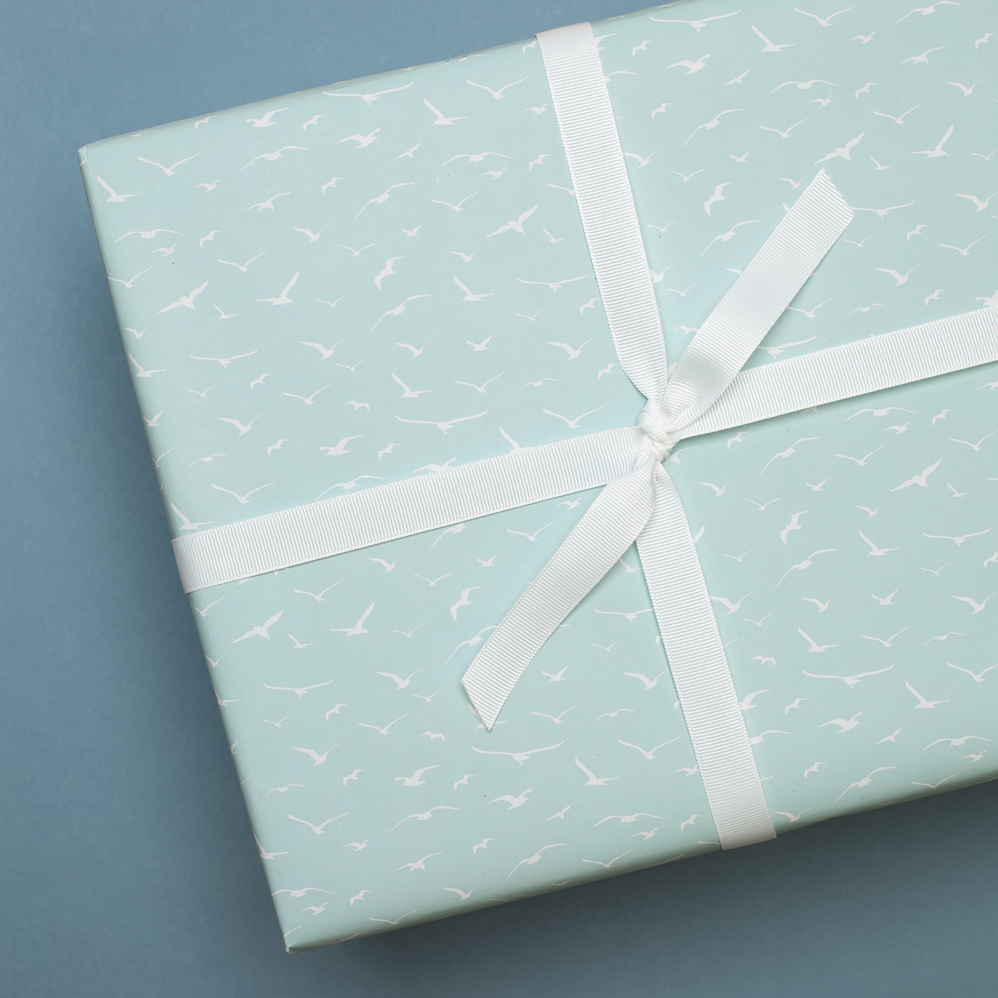 My Pretty Circus - Wholesale Ribbon - Gift Wrapping - White ribbon5