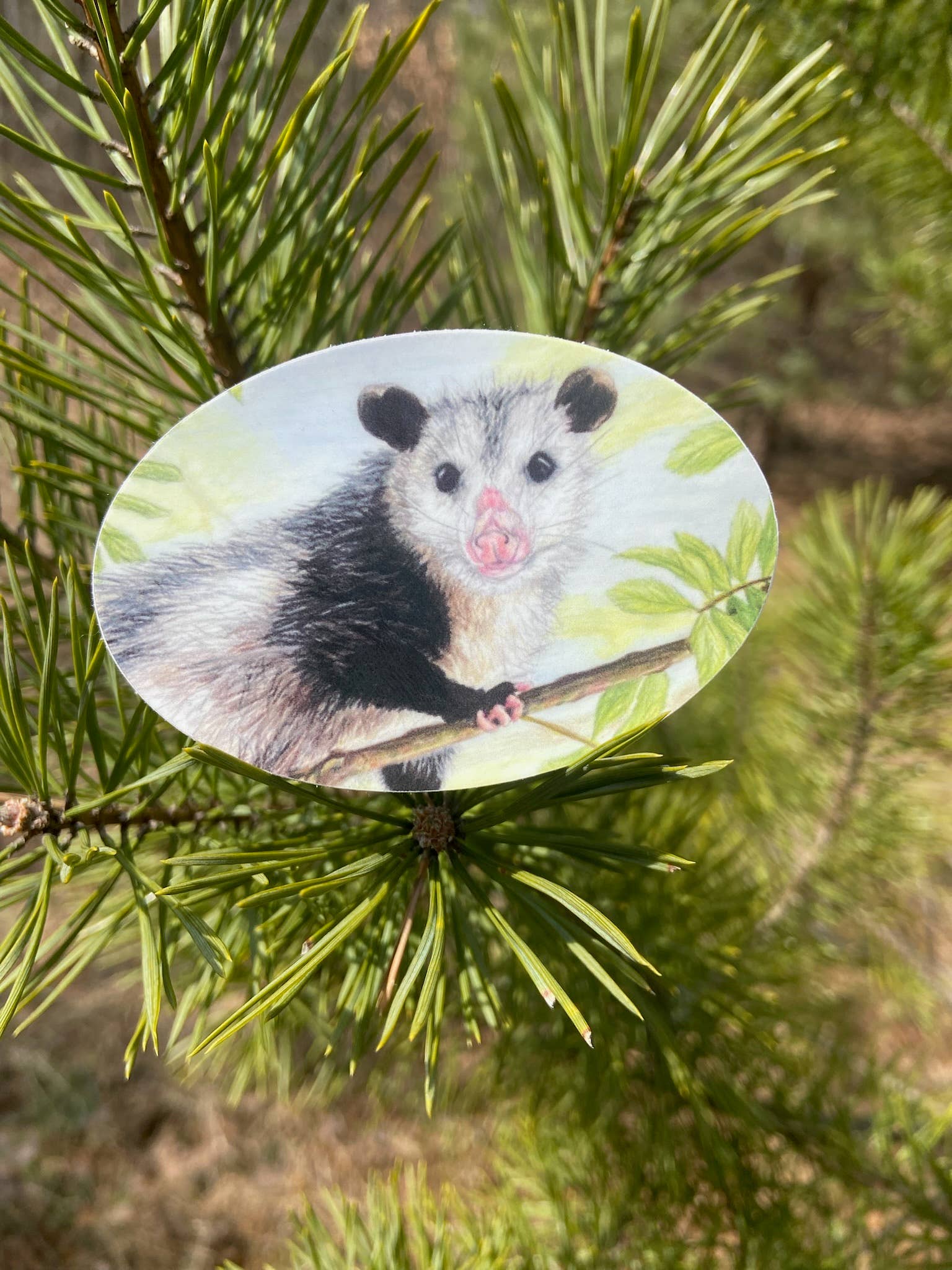 Brush & Bark - Wholesale Sticker - Opossum Sticker1