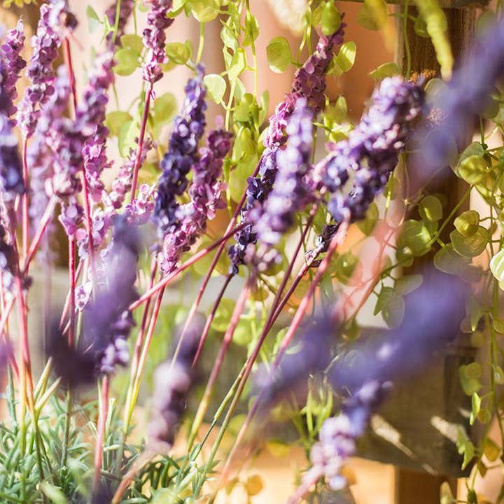 Rustic Reach - Wholesale Artificial Flowers - Artificial Lavender Provence Lavender Stem 21" Tall