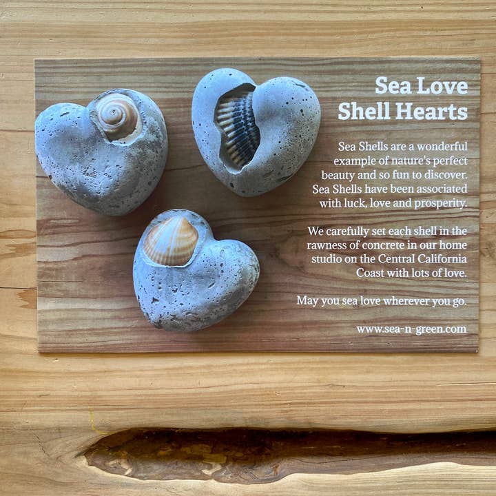 Sea + Green - Wholesale Decorative Tabletop Object - Sea Shell Concrete Heart