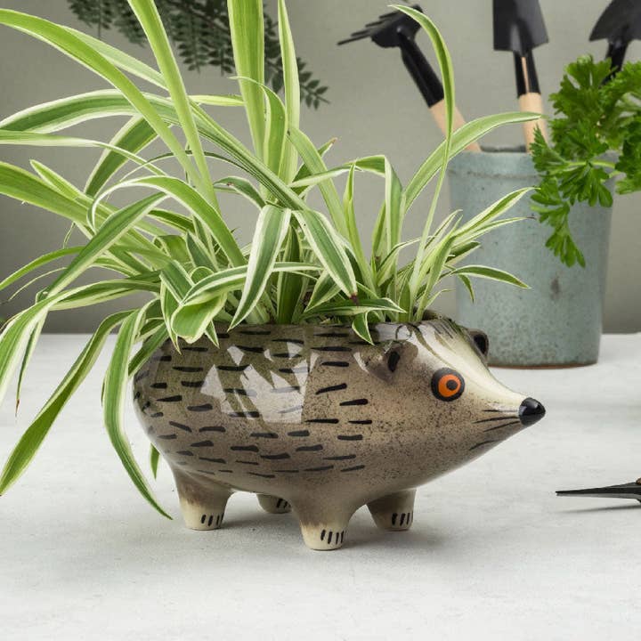 Hedgehog Planter for wholesale by Hannah Turner Ltd