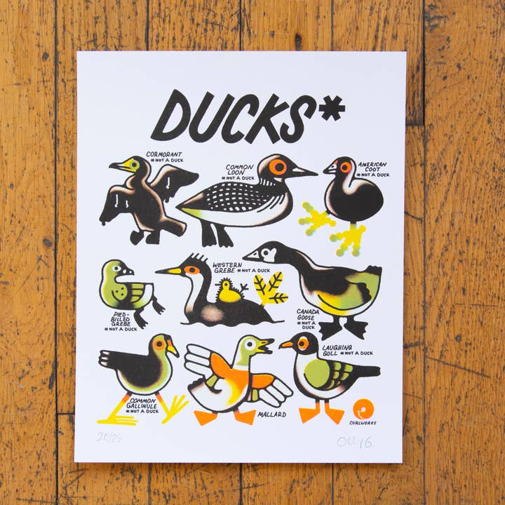 Curlworks - Vente Affiche d'art - Des canards (pas un canard) - Impression risographique de 8 x 10 pouces