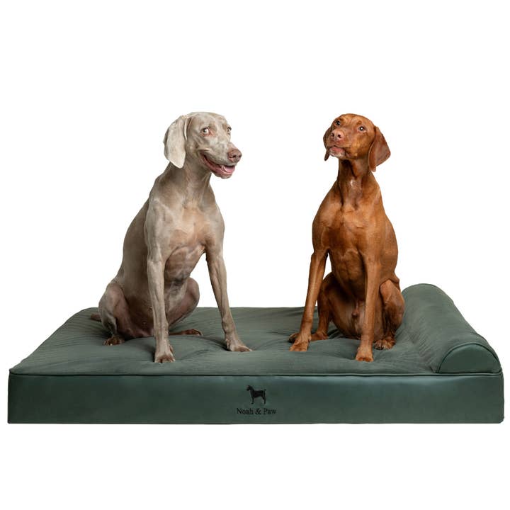 NOAH AND PAW LLC - Wholesale Pet bed – Cat/dog - Faux Leather, Orthopedic Pet Bed, Eggshell Memory Foam, Infused with Cooling Gel, Classic Style17