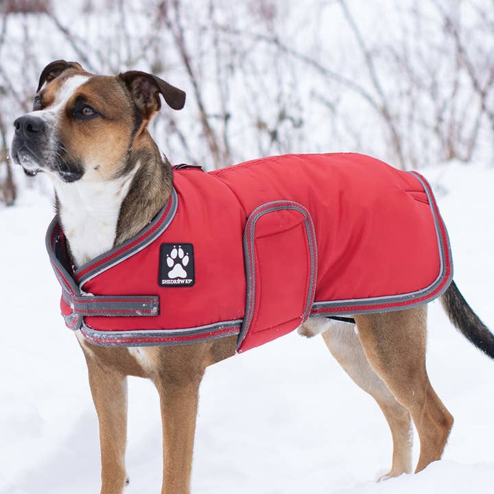 Shedrow K9 Vail Dog Coat - Equestrian Red for wholesale by Shedrow K9