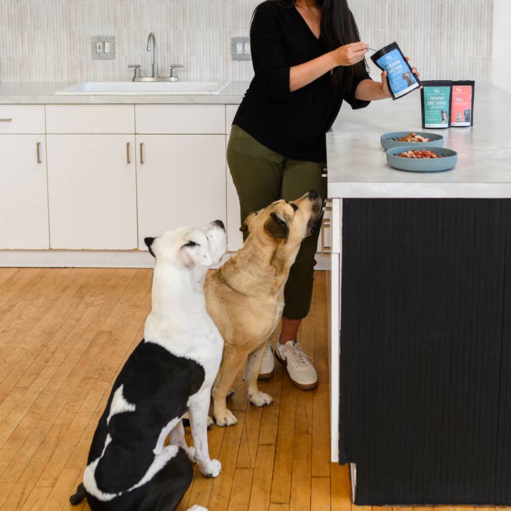 Harper & Friends - Wholesale Pet Supplement - Dog - Mushroom Spectrum – Functional Mushroom Supplement for Dogs4