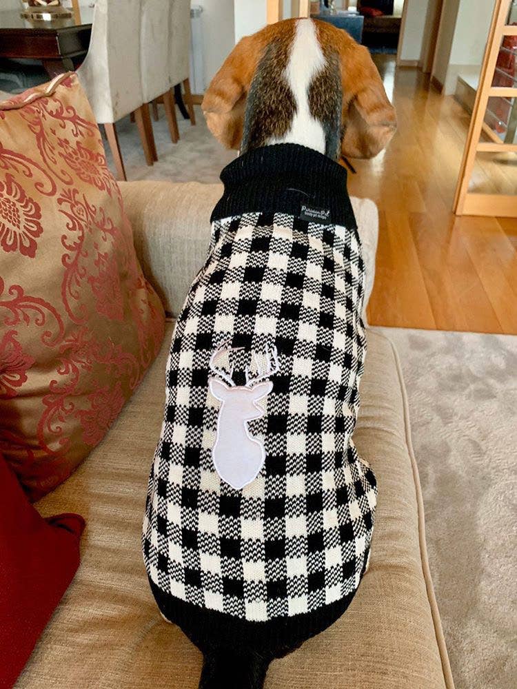 Parisian Pet® - Wholesale Pet Sweater - Dog - Buffalo Checkered Sweater Deer – Winter-Ready Dog Apparel2