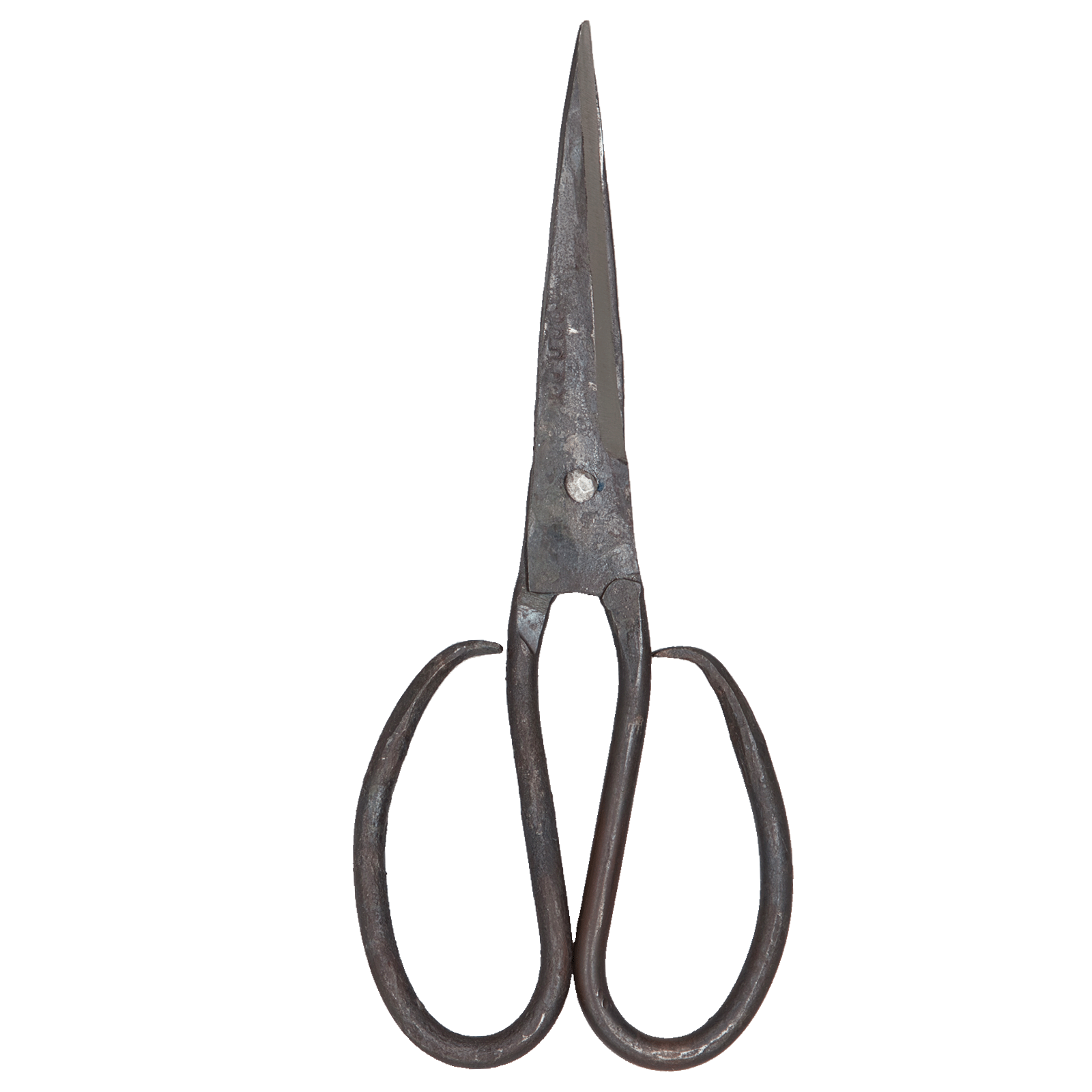 AUTHENTIC BLADES - Wholesale Scissors and Shears - AUTOTEHNTIC BLADES THO large, carbon steel kitchen scissors, 9cm blade1
