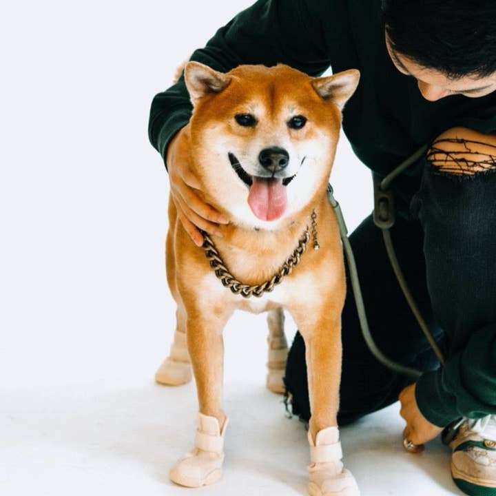 RIFRUF - Wholesale Pet Boots - Dog - Caesar 1 Durable Dog Sneaker with Knitted Mesh20