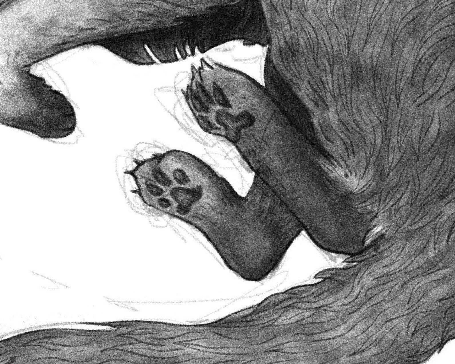 Cat Rocketship - Wholesale Art Print - Cat Spirit  - 8x10, 5x7 Print2