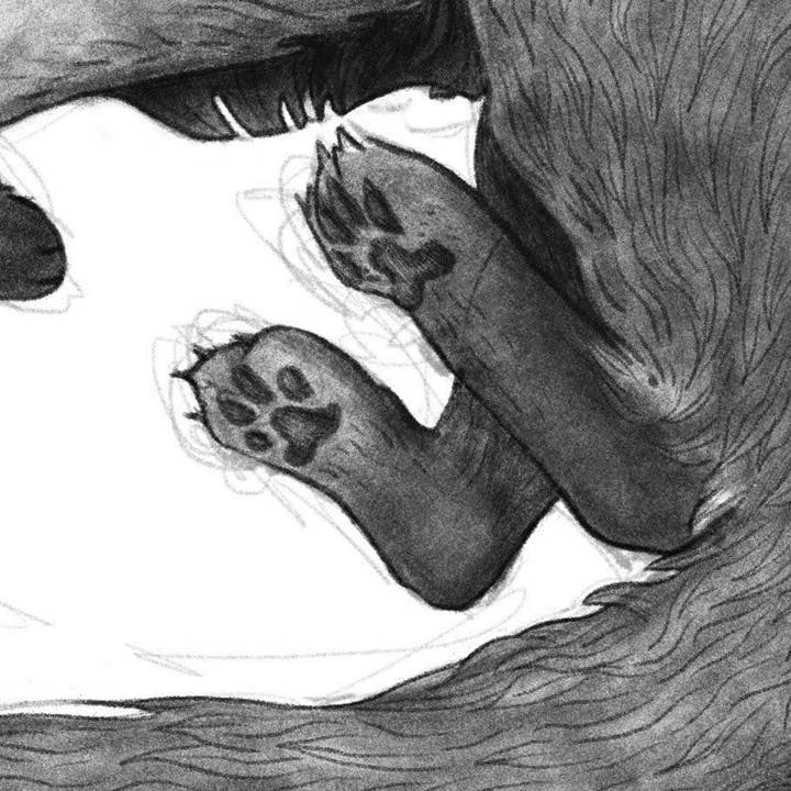 Cat Rocketship - Wholesale Art Print - Cat Spirit - 8x10, 5x7 Print2