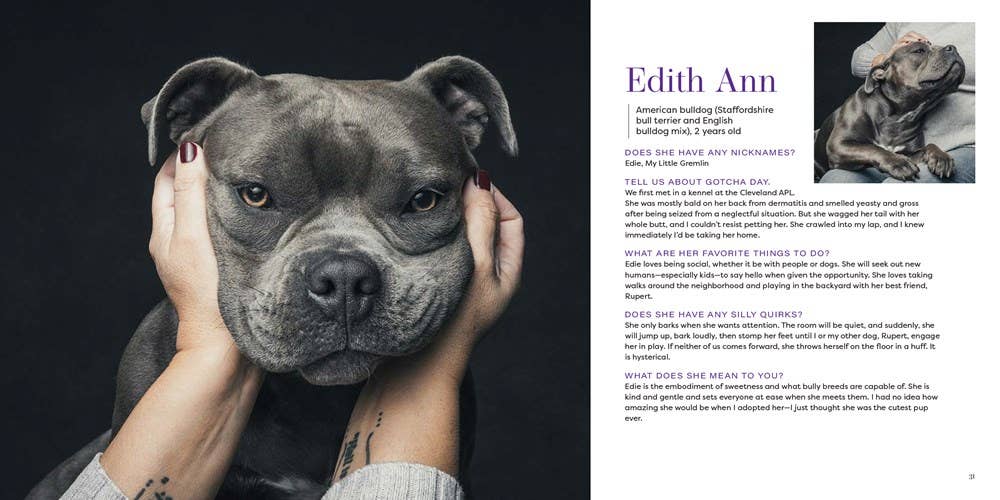 Gibbs Smith - Wholesale Pet  Book - Gotcha Day1