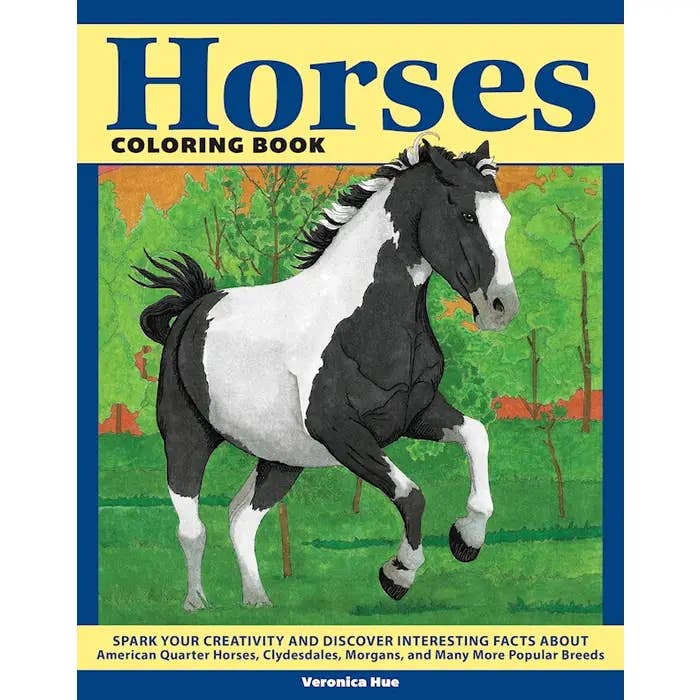 Coloring Book - Horses for wholesale by Wellspring