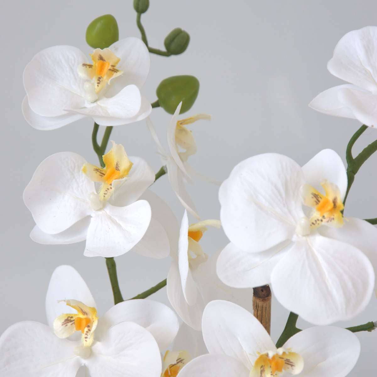 Oasis of Life - Wholesale Artificial Flowers - Artificial Phalaenopsis Orchid – 55cm Tall – White Artificial Orchid – Deceptively Realistic & Maintenance-Free – Luxurious Decorative Flower for Living Room, Office & Dining Table6