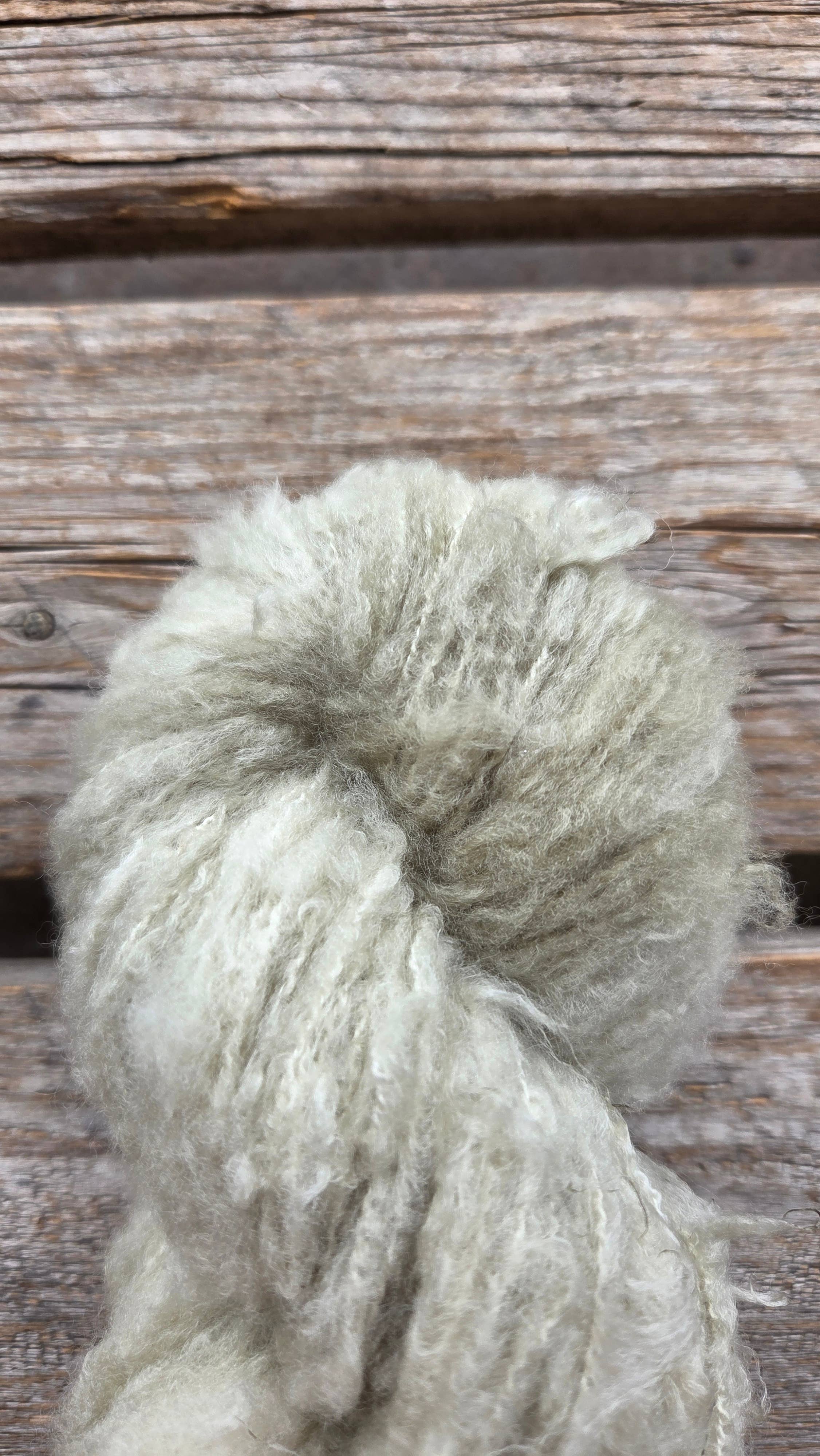 Koigu Wool Designs – wholesale Garn – Andra - Extra-fin Borstad Merinoullgarn6