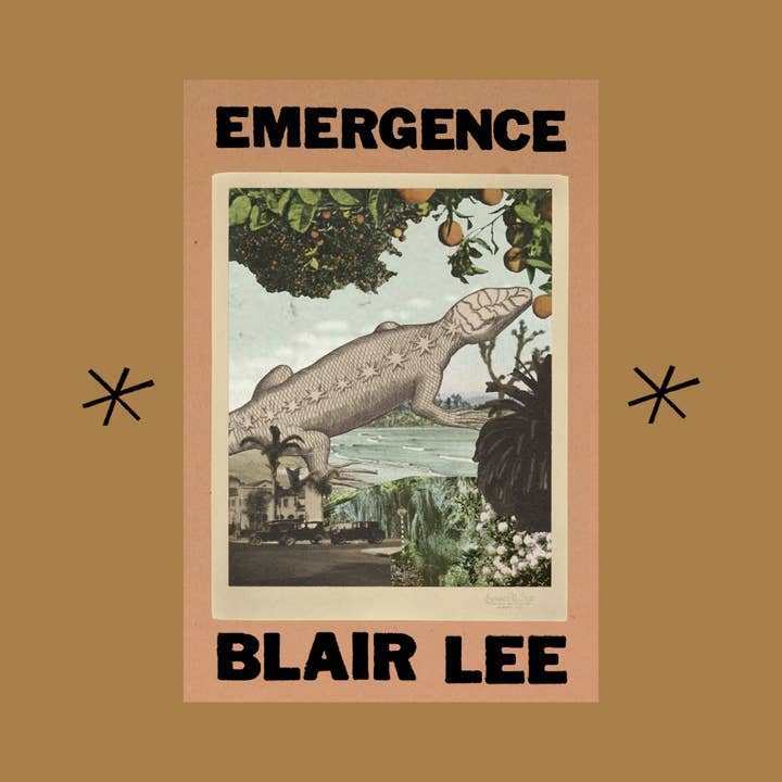 Emergence, by Blair Lee for wholesale by Bottlecap Press