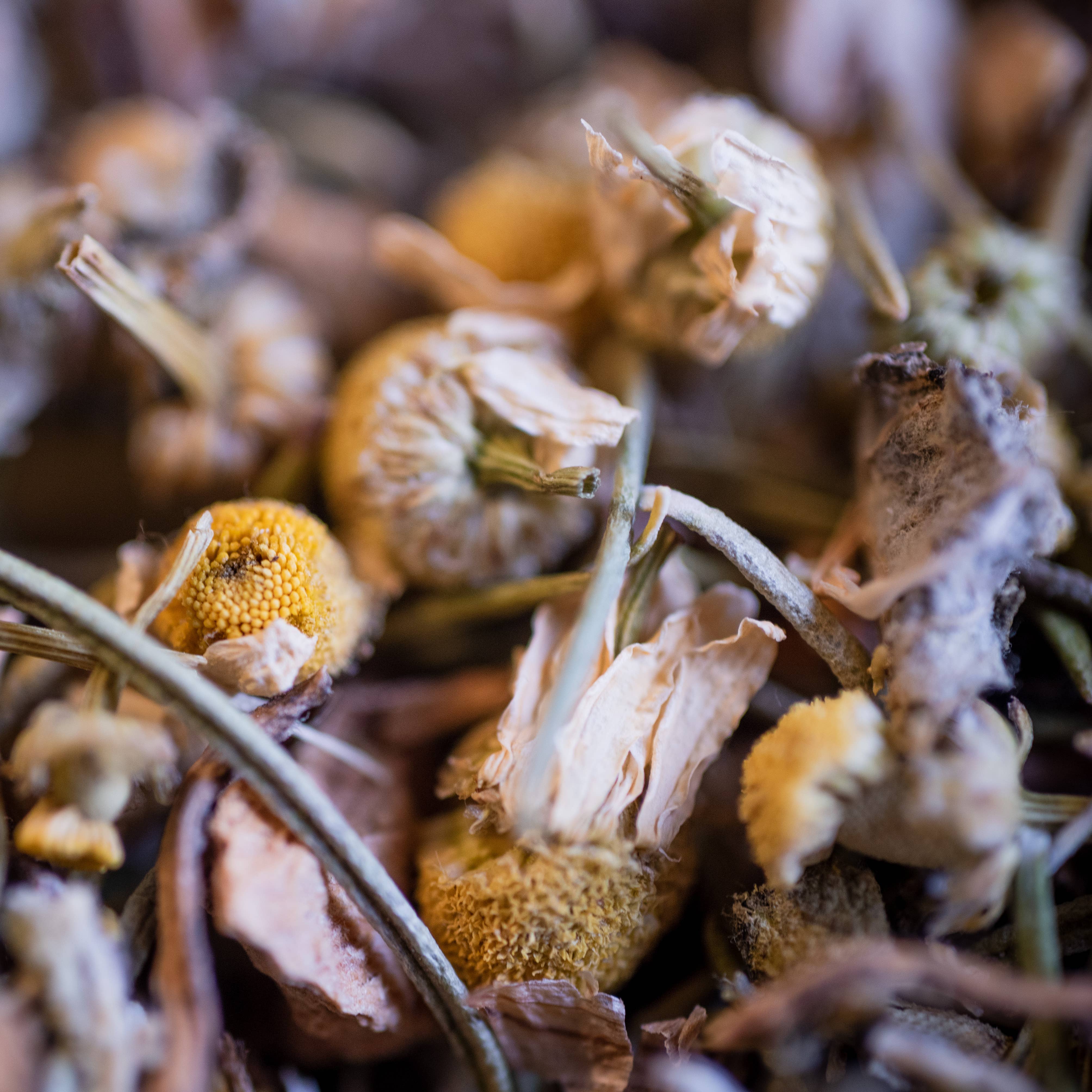 LE COMPTOIR D'HERBORISTERIE - Wholesale Health/Detox Tea - ORGANIC HEPATANTE HERBAL TEA 50G - LIVER DRAINING1