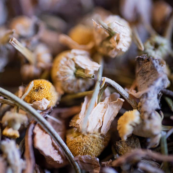 LE COMPTOIR D'HERBORISTERIE - Wholesale Health/Detox Tea - ORGANIC HEPATANTE HERBAL TEA 50G - LIVER DRAINING1