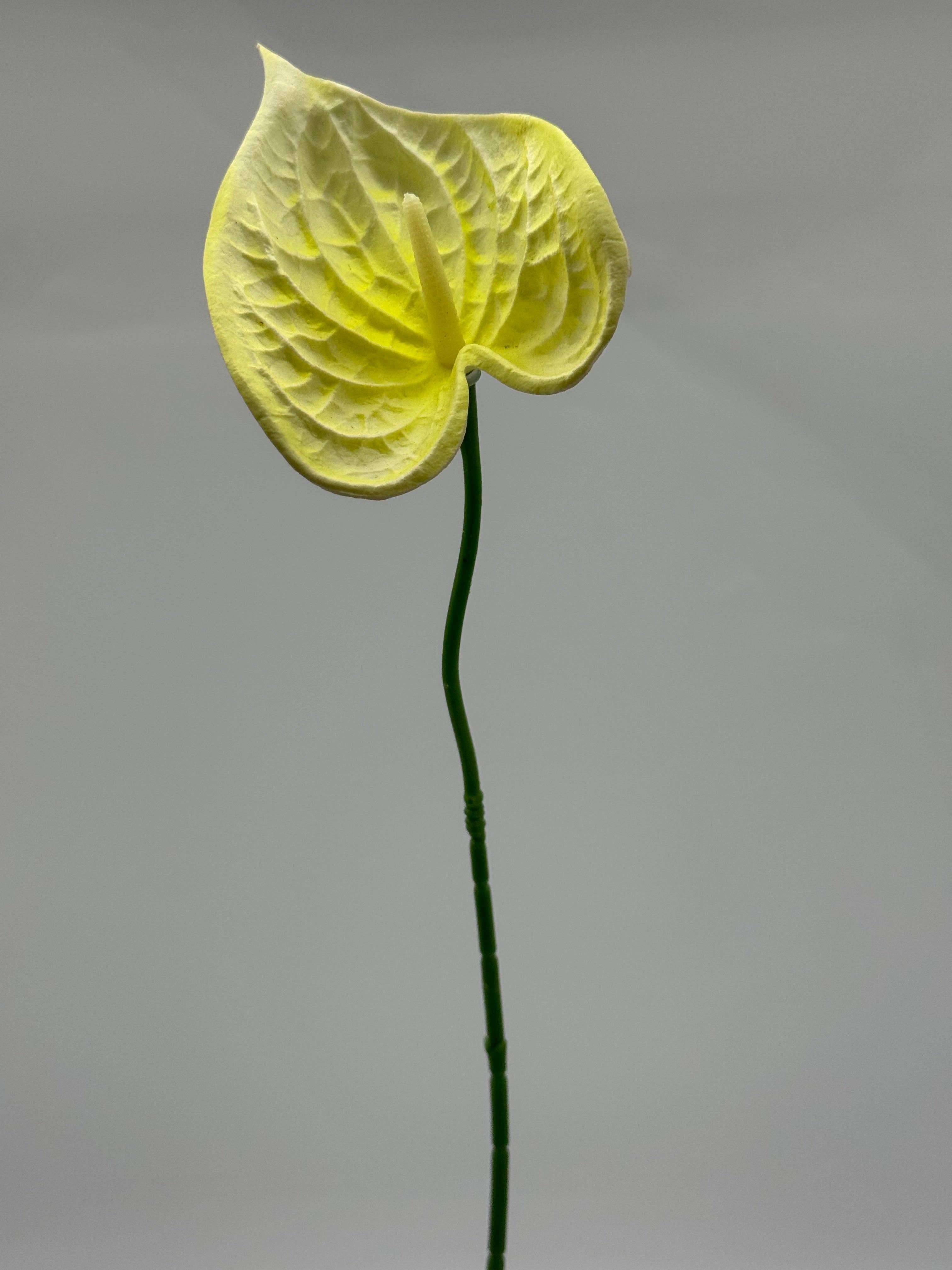 JKF & Co Pty Ltd - Wholesale Artificial Flowers - Anthurium Small Real Touch Single Stem1