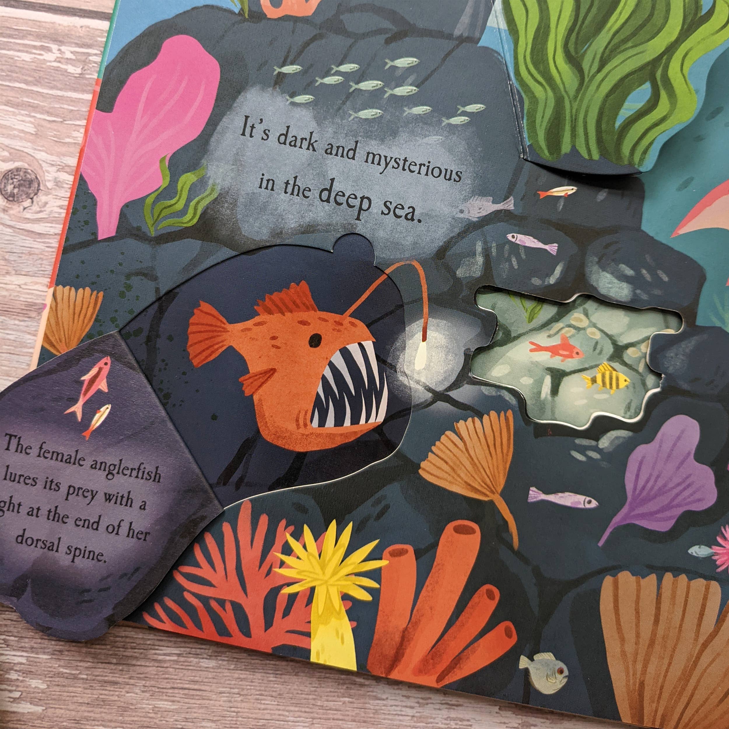 Robert Frederick Ltd – wholesale Preschool Book (3-5) – Nature Die Cut Book - Ocean2