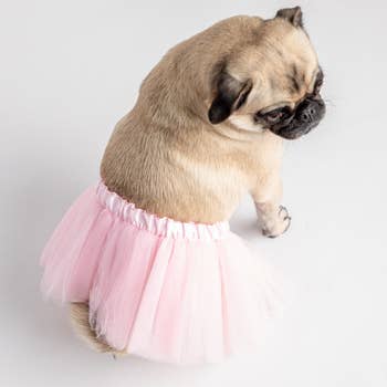 Fufu Tutu Dog Dress - Pink