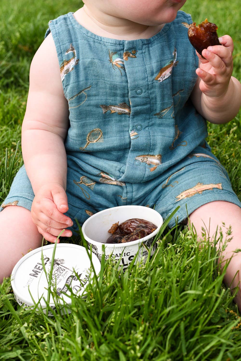 Rancho Meladuco Date Farm - Wholesale Dried/Dehydrated Fruit - Little Mels Seedless ORGANIC Medjool Dates, 4.5 oz Cup8