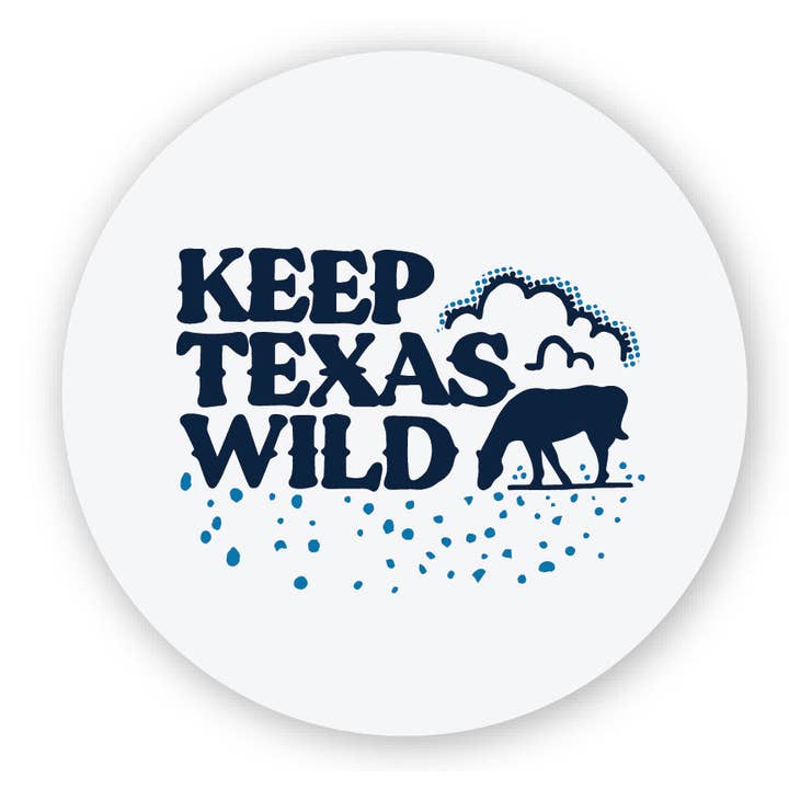 Made in Texas Co. - Wholesale Magnet - Metal Texas Magnets